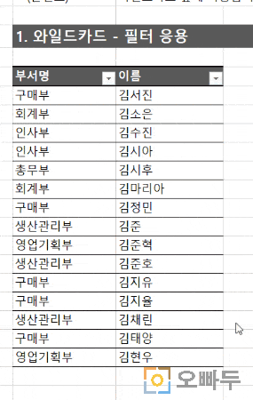 엑셀 와일드카드 사용예제