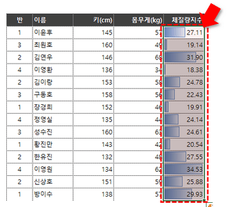 데이터막대 최소값 최대값 완료