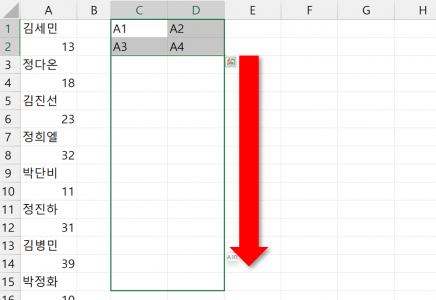 엑셀 한 줄 여러 줄 자동채우기