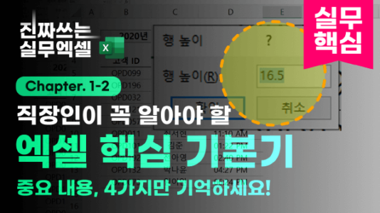 직장인 엑셀 필수 기본기_R