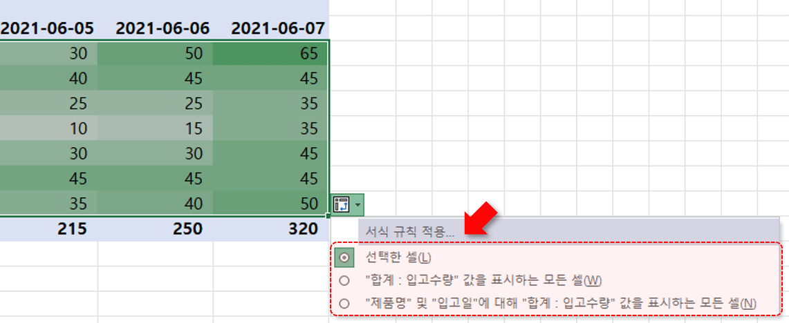 피벗테이블 조건부서식 초기화 문제
