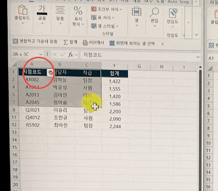 엑셀-화면에-보이는-셀-복사하기-gif-min