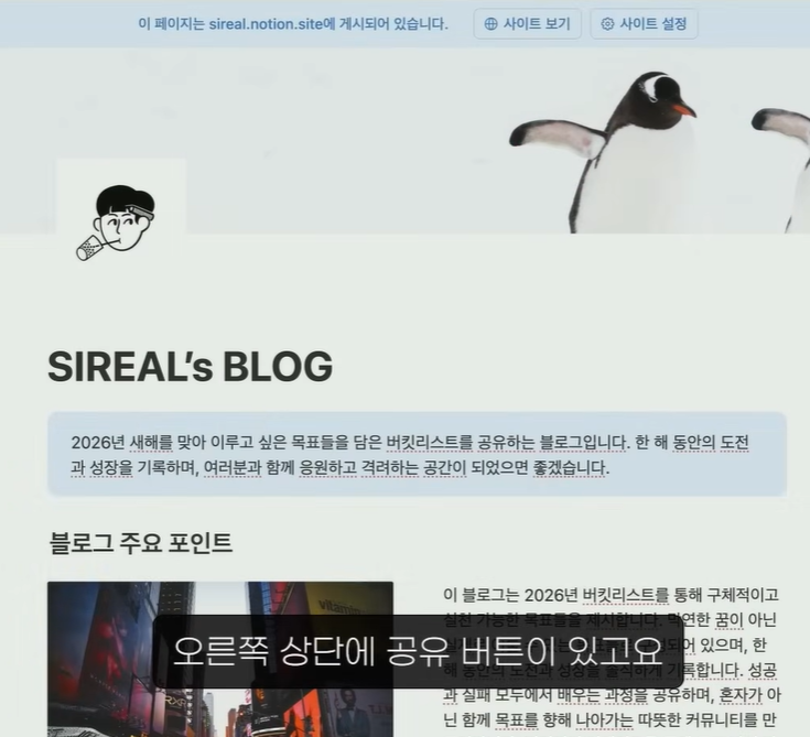 노션-블로그-완성