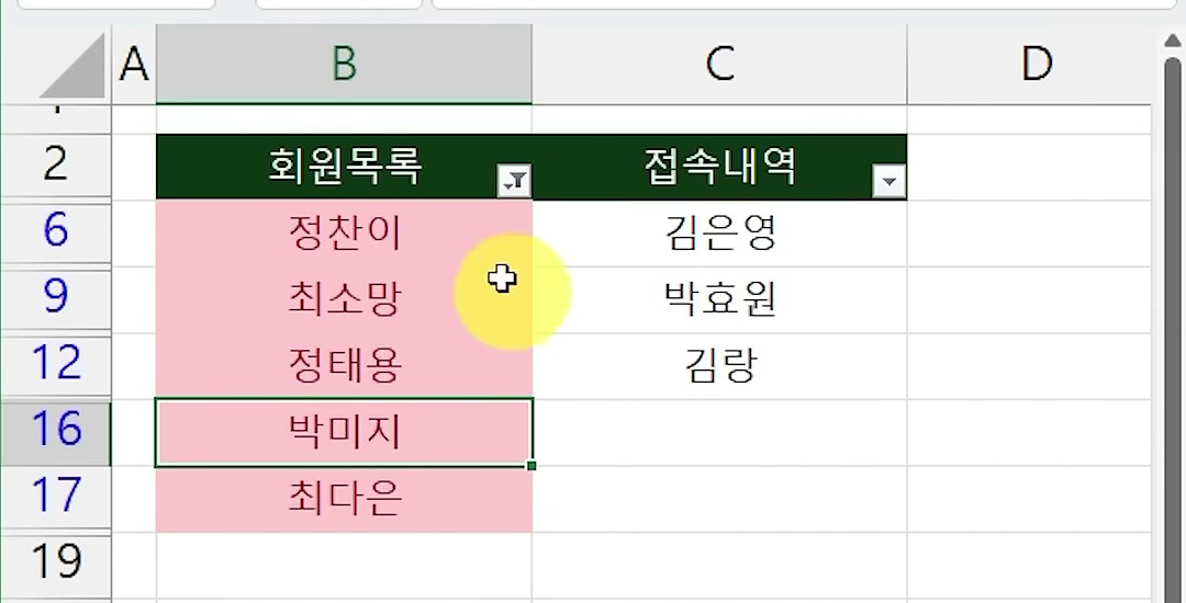 셀 색 필터가 걸려 정찬이·최소망·정태용·박미지·최다은 다섯 행만 남고 상태 표시줄에 16개 중 5개의 레코드가 있습니다가 보이는 화면