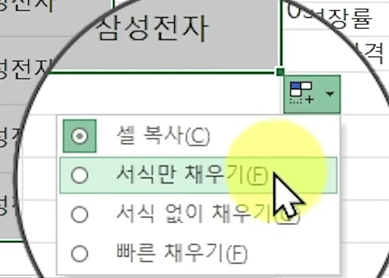 자동 채우기 옵션 메뉴에 셀 복사·서식만 채우기·서식 없이 채우기·빠른 채우기가 뜨고 서식만 채우기에 마우스가 올라간 화면