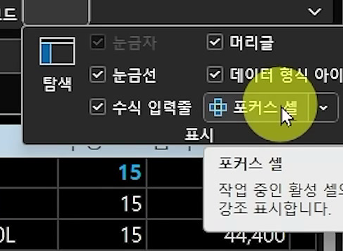 보기 탭 표시 목록이 펼쳐지고 포커스 셀 단추 옆에 「작업 중인 활성 셀을 강조 표시합니다」 설명이 뜬 화면