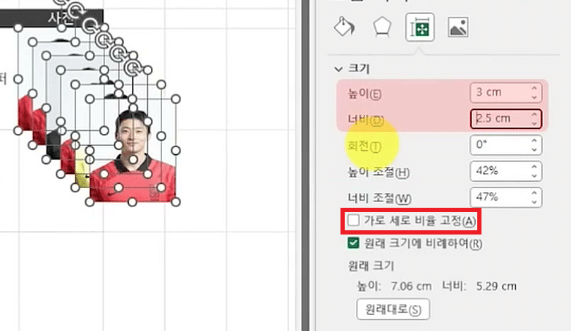 [그림 서식] 창 크기 영역에 높이 3 cm, 너비 2.5 cm가 들어가고 시트의 사진들이 작게 줄어 계단식으로 겹친 화면