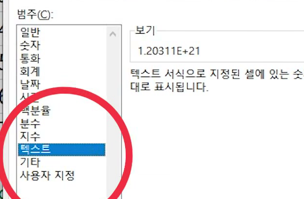 셀 서식 창 범주에서 텍스트가 선택되고 보기에 1.20311E+21이 보이는 화면