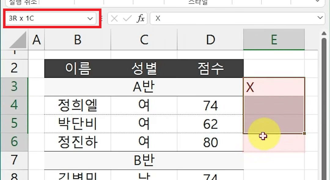 E3 셀부터 아래로 끌어 X와 빈 칸을 함께 고르고 이름 상자에 고른 칸 수가 보이는 화면