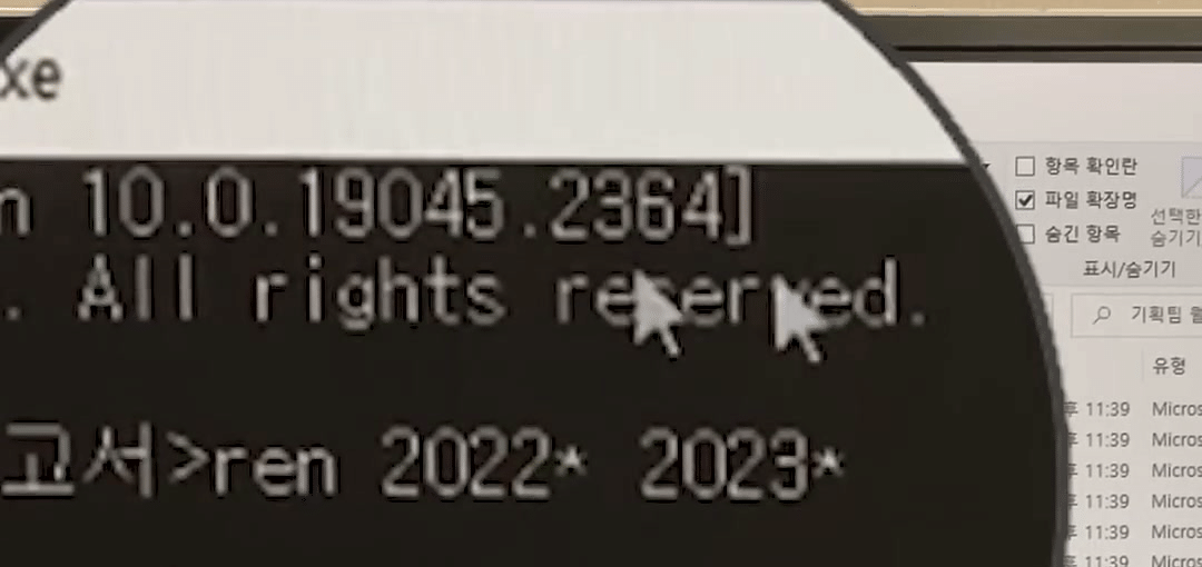 확대한 명령 프롬프트에 ren 2022* 2023*가 입력되고 가운데에 ren 기존이름 바꿀이름 설명 카드가 뜬 화면